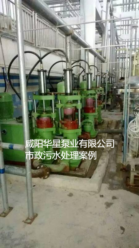 污水處理廠使用YBH200節(jié)能柱塞泵現場